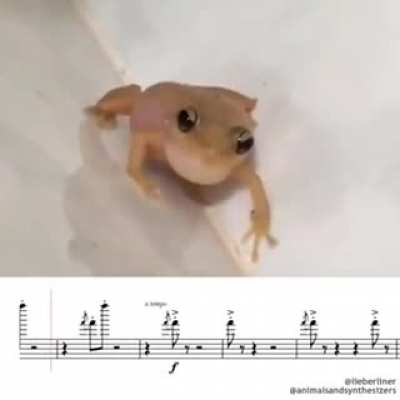 pu pí