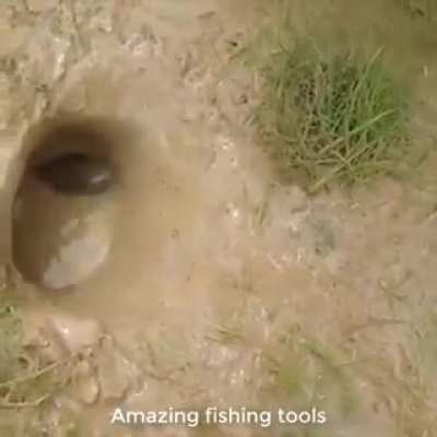 Sorry if repost. NSFL. (Warning viewer discretion advised) How to fish using your pet naagin
