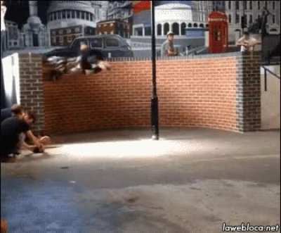Defying the laws of physics