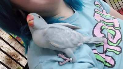 Hang out with me, it's always a party! 🐦😁