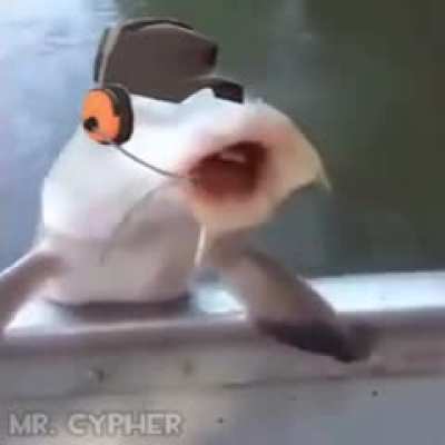 this title aint even worth the effort