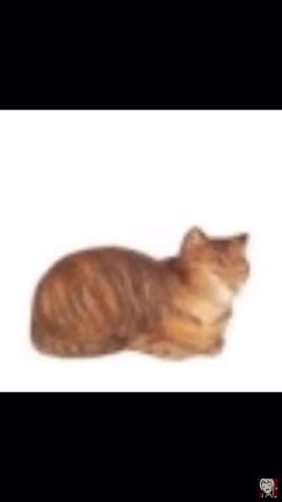 This is the first so called “Cat Video”, made in the 18th century. Now with new technology we have now colorized it and made it higher quality