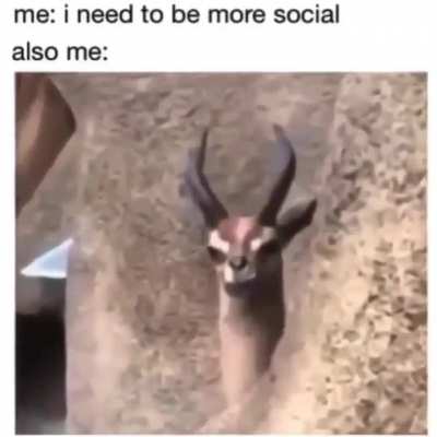me_irl