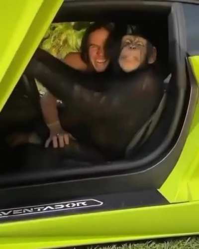 👌