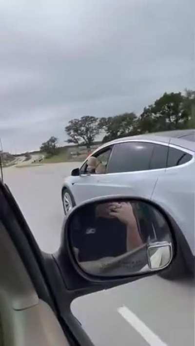 Tesla owner having their dog driving the car by itself without a seat belt