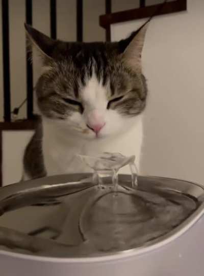 Thirst Life
