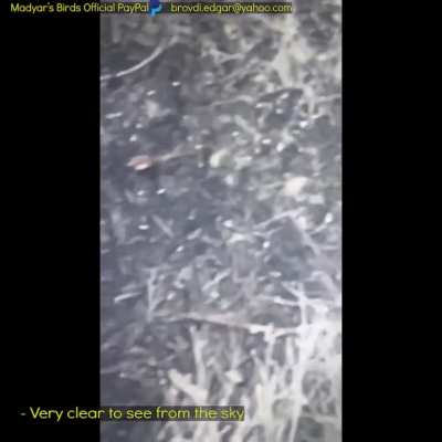Madyar - UA drone recon. Artillery taking out an assault group of 9 near Soledar - PART 1. 20 Jan. Subtitled