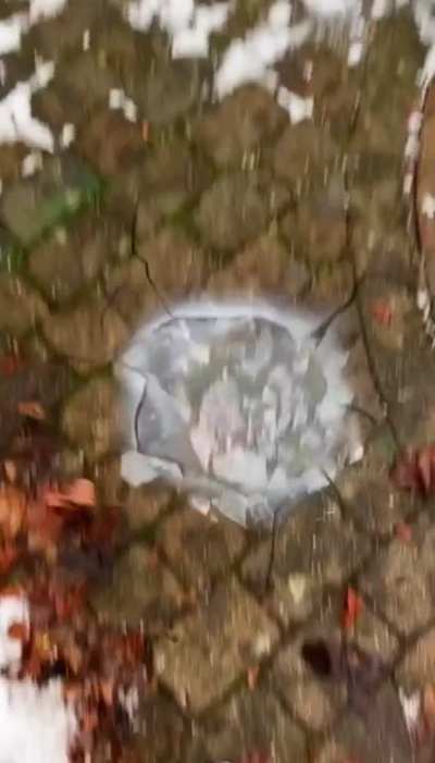 Gravity