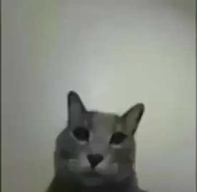 heck u ;<