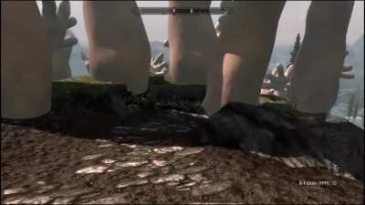 Just a Skyrim fever dream