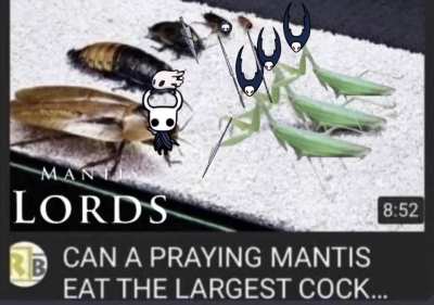 the real fight