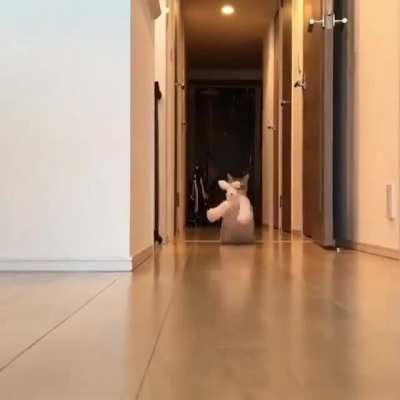 MRW i dont give a shit what people think