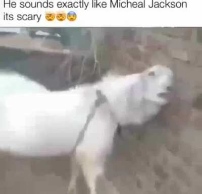 mikel jack son da goat???