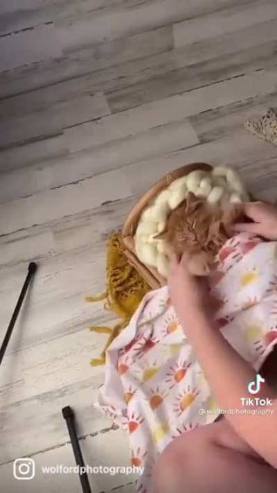The most patient cat that I saw on TikTok, couldn’t resist sharing with y’all
