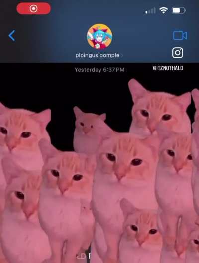 NOOO!!