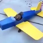 Hey there, *upvote* and i might give u a smoosh