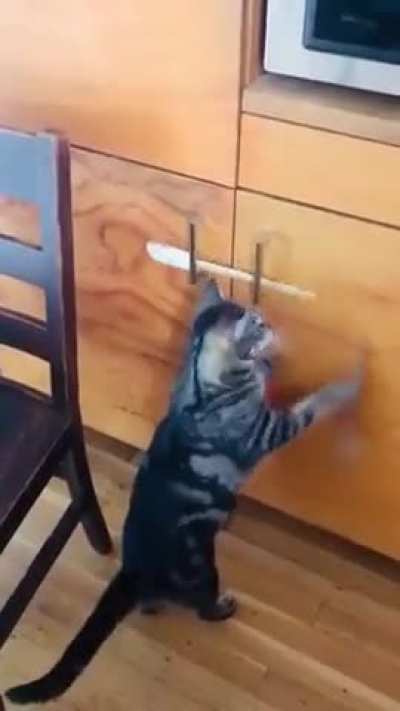 Very smart 😂
