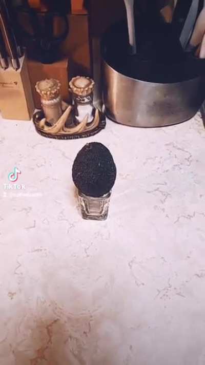 The enigma that is the common avocado.