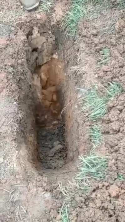 A-