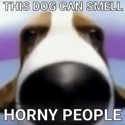 I FOUND THE HÖRÑY