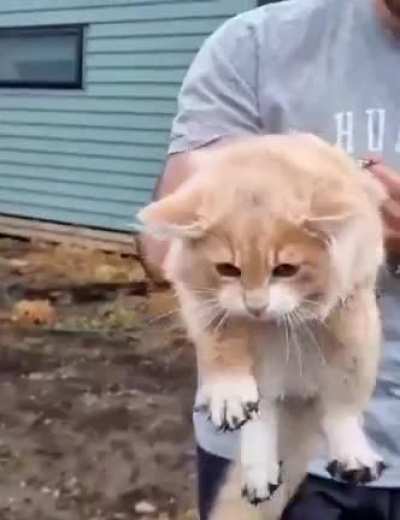 😅