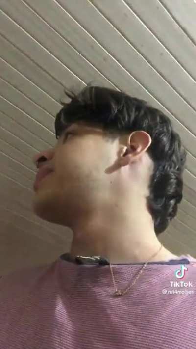 El michi volador xD