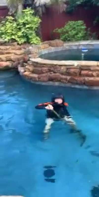 Pool rake