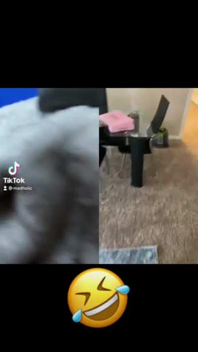 WTH😂😅😂  