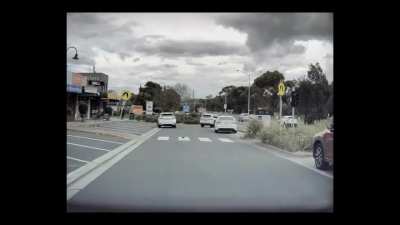 A very responsible bird I saw on my dash cam