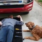 Helping dad fix the truck