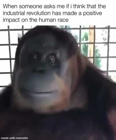 Stupid human think they better than us 🍌🙈