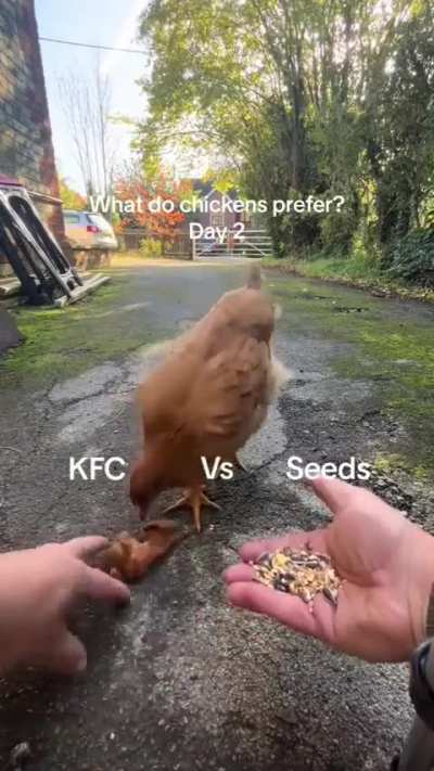 Don' t eat your cousin larry!