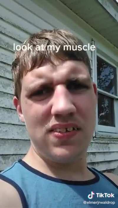 Hercules Hercules Hercules