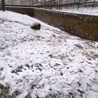 I have to go! My people need me!