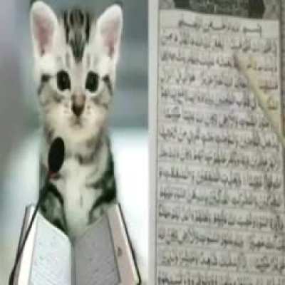 Hayırlı Cumalar ♥