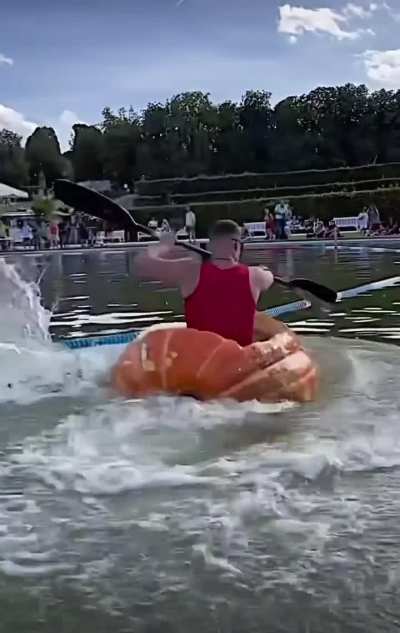 ThisLooksFun 