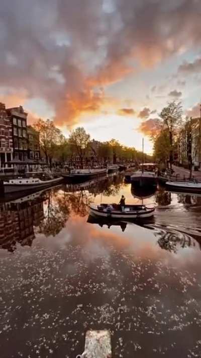 Evenings in Amsterdam