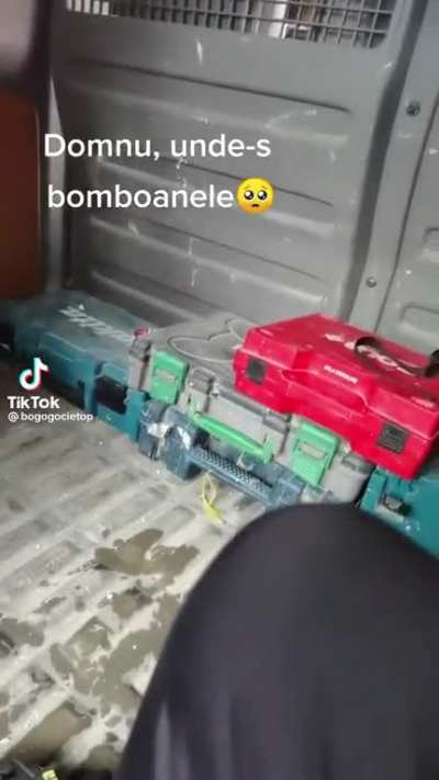 Bine