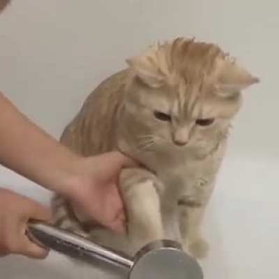 That guy and his refreshing shower