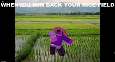 RICE