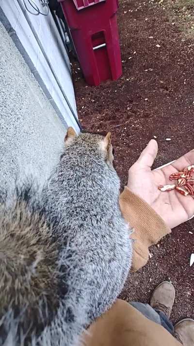 Morning munchies