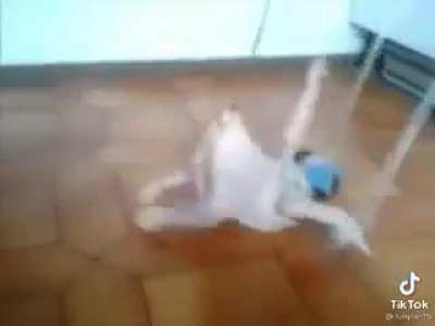 Puvlo qlo