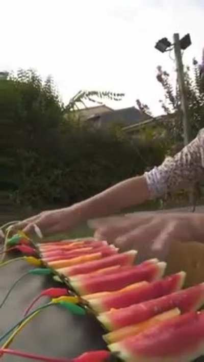 watermelon piano