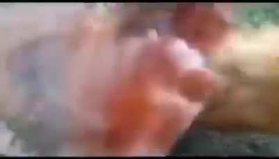 KÖPEĞİMİN GÖTÜNE TAVUK KAÇTI