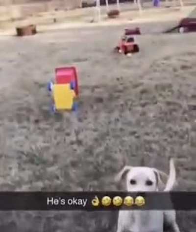 Dog flip.
