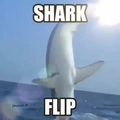 😳👉👈