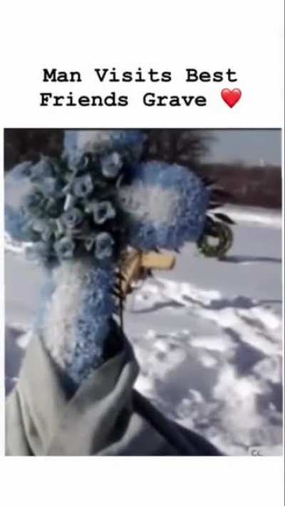 Thug finally lets it all out on his friend's grave..