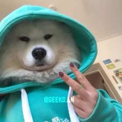 👍