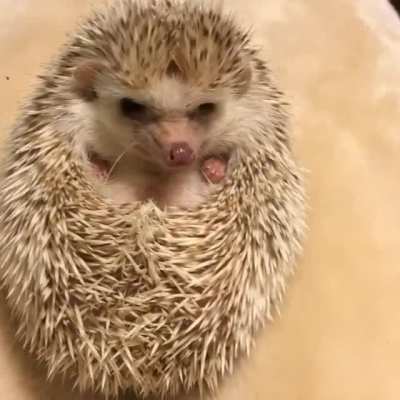 So cute 🥺