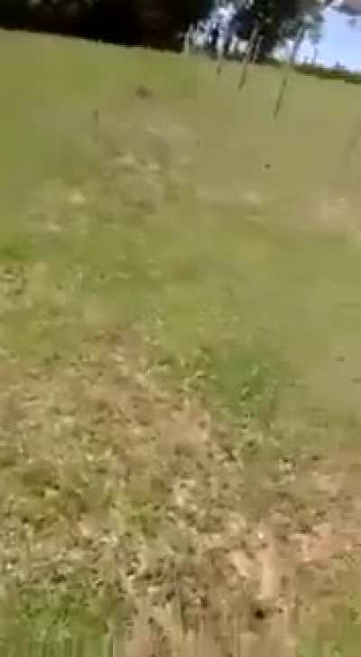 Só a lapada